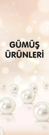 GÜMÜŞ ÜRÜNLERİ