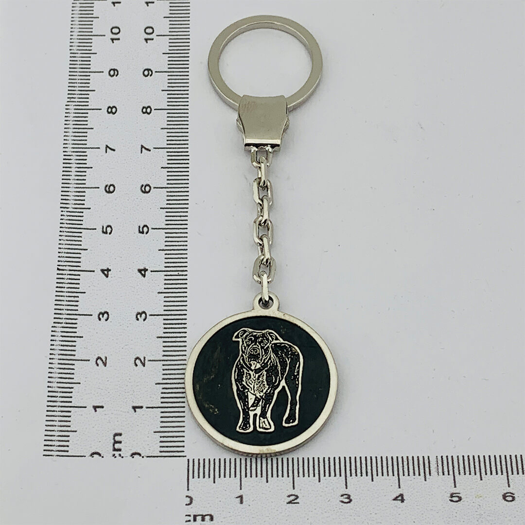 PICTURE KEY CHAINS